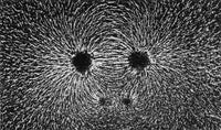Magnetic Field Poster Print - Magnetism by Science Source