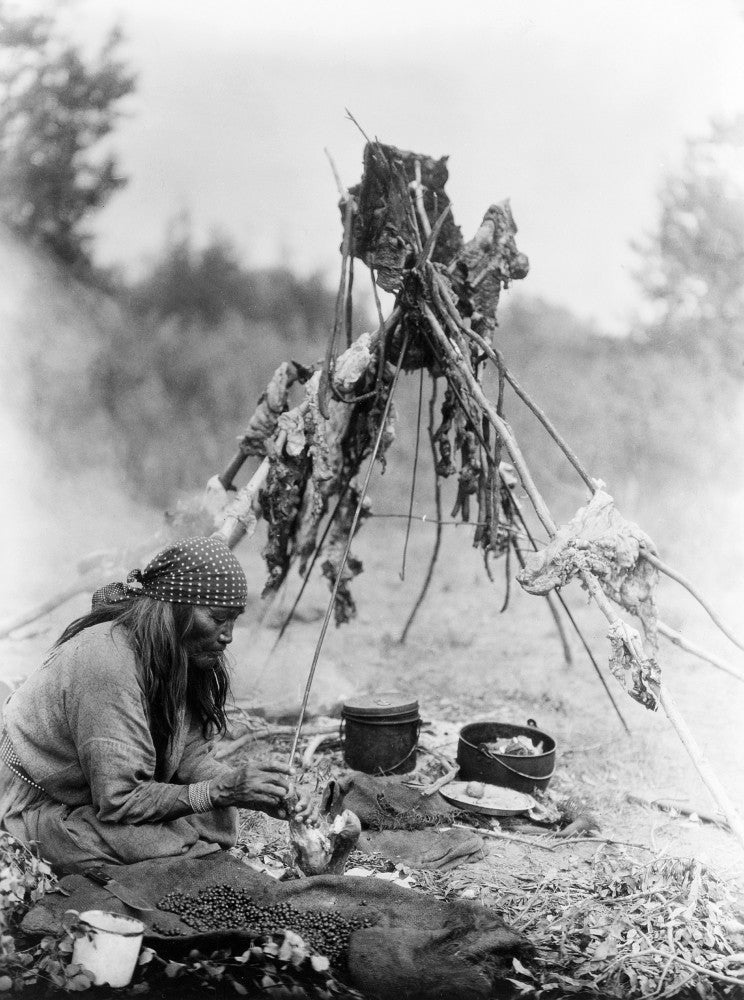 Curtis: Sarsi Cook Fine Art Print - Native American Cuisine by Edward Curtis