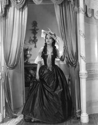 The Scarlet Pimpernel Portrait Photo Print - Available in Multiple Sizes