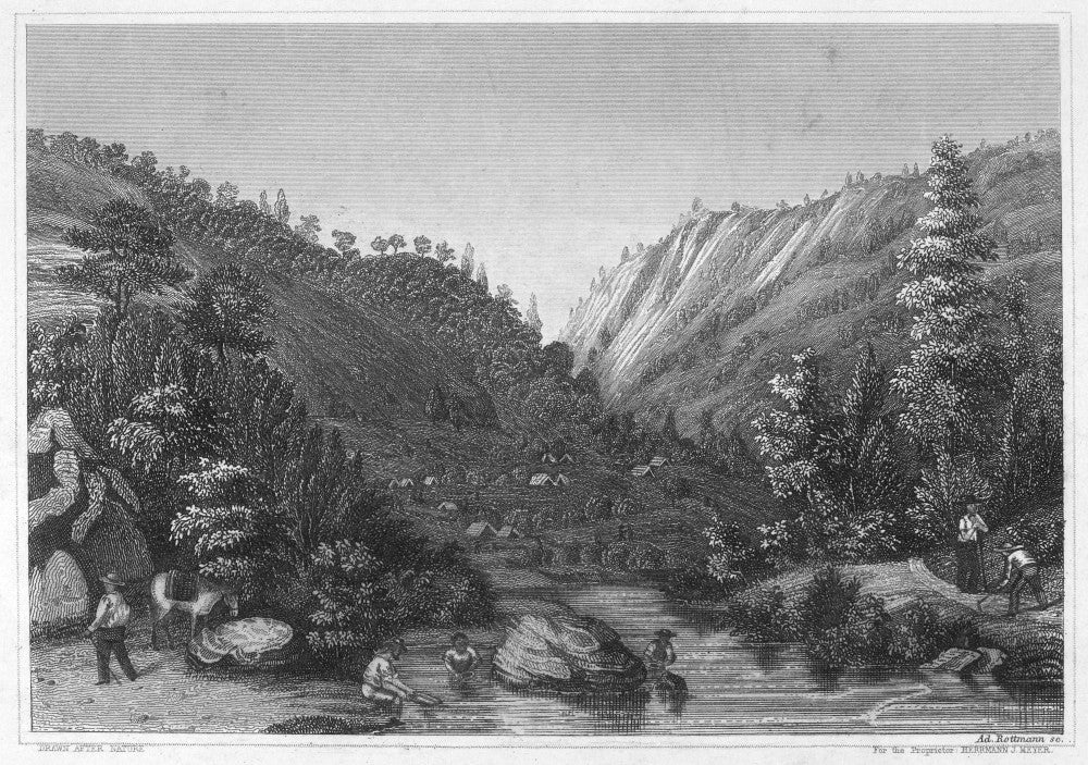 California Gold Rush Line Engraving Fine Art Print by Granger Collection