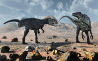 Allosaurus Dinosaurs Jurassic Period Fine Art Print by Mark Stevenson