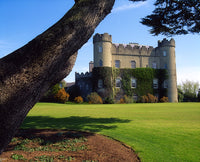 Talbot Botanic Gardens Poster Print - Malahide Castle, Ireland by The Irish Image Collection