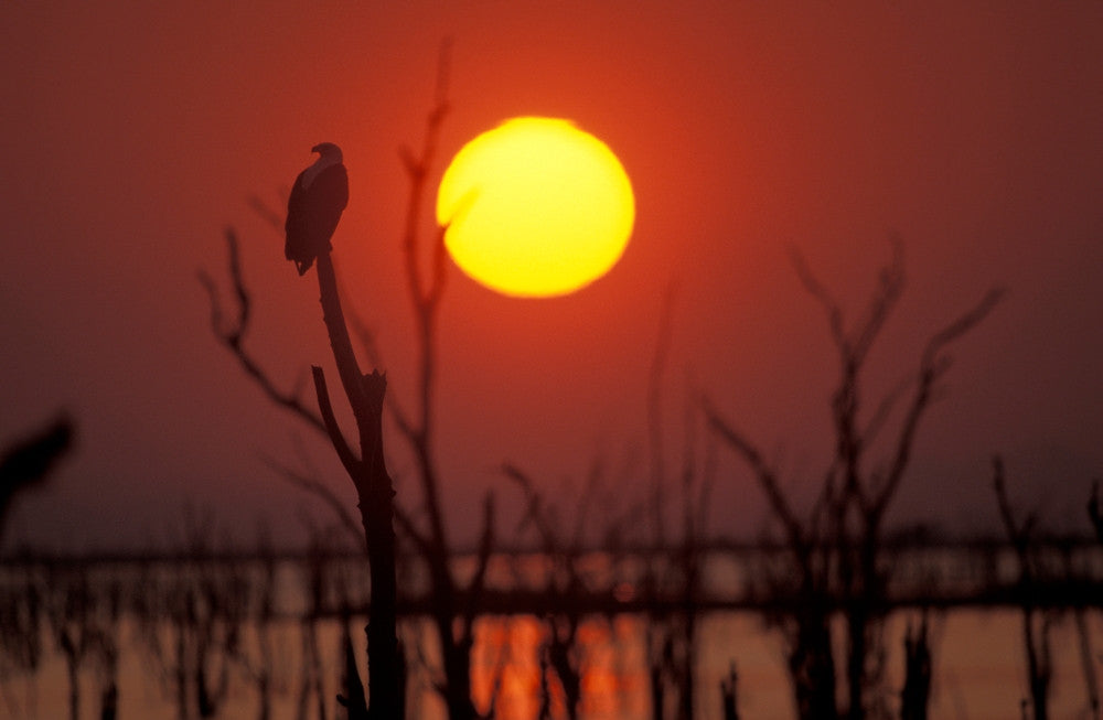 Sunset In Zimbabwe Fine Art Print - Beautiful Landscape Poster