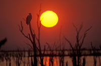 Sunset In Zimbabwe Fine Art Print - Beautiful Landscape Poster