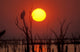 Sunset In Zimbabwe Fine Art Print - Beautiful Landscape Poster