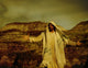 Jesus In The Wilderness Fine Art Print by Don Hammond