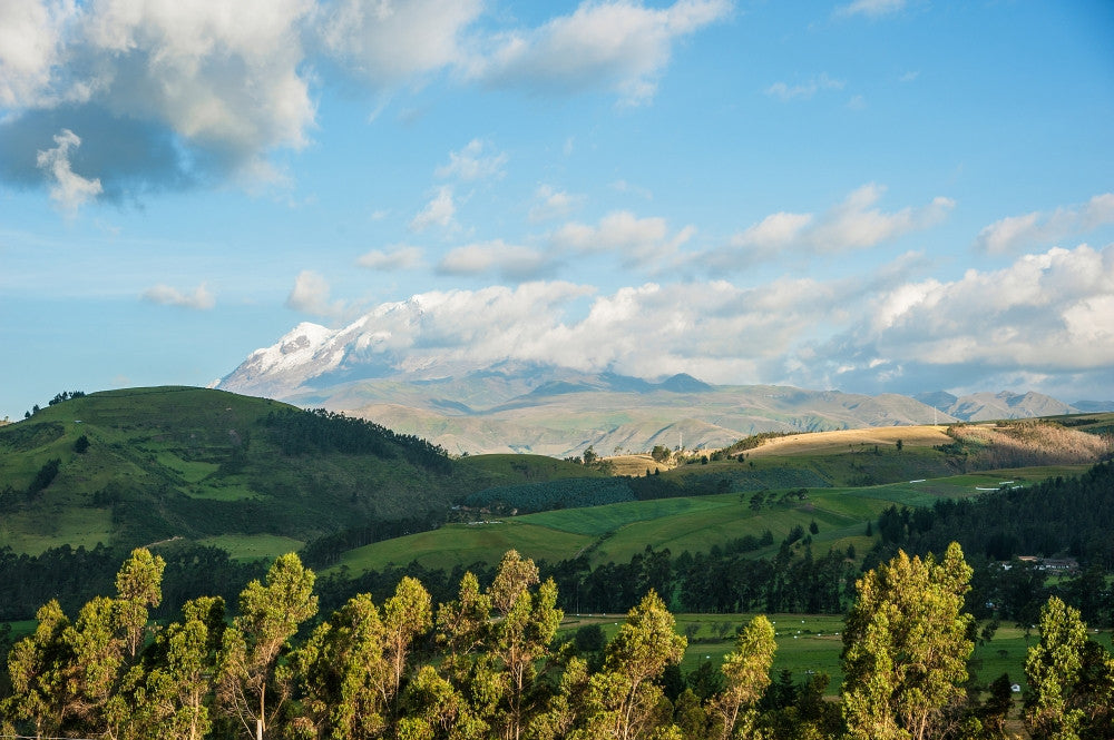 Late Afternoon Fields Near Cayambe Volcano Art Print by Panoramic Images