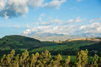 Late Afternoon Fields Near Cayambe Volcano Art Print by Panoramic Images