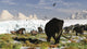 Woolly Mammoths and Woolly Rhinos in Prehistoric Landscape Fine Art Print