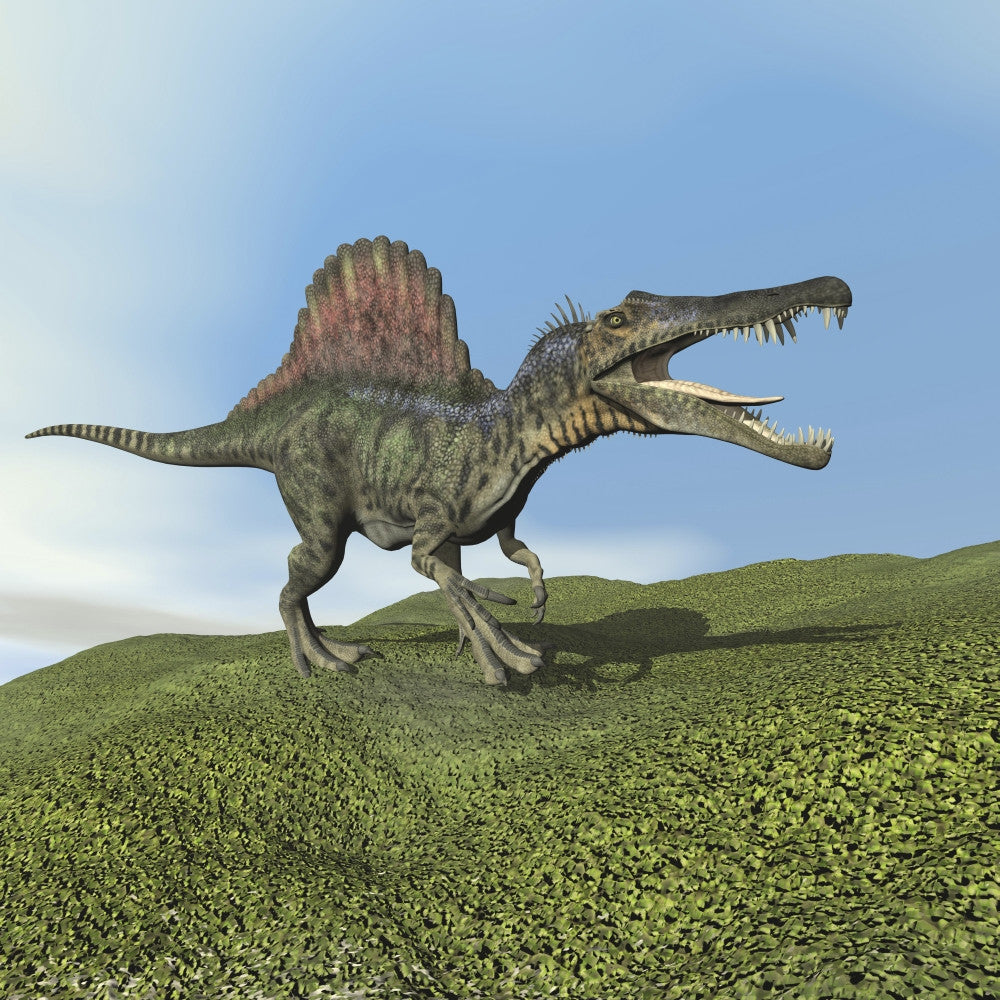 Spinosaurus Dinosaur Walking on Grass Fine Art Print