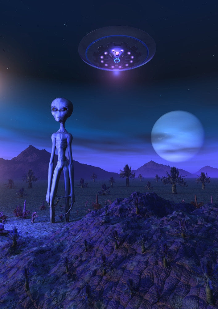 Grey Alien on Zeta Reticuli Fine Art Print - Multiple Sizes