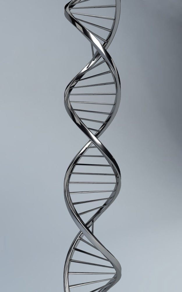 Conceptual DNA Artwork Fine Art Print - Multiple Sizes