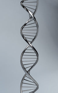 Conceptual DNA Artwork Fine Art Print - Multiple Sizes