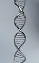 Conceptual DNA Artwork Fine Art Print - Multiple Sizes