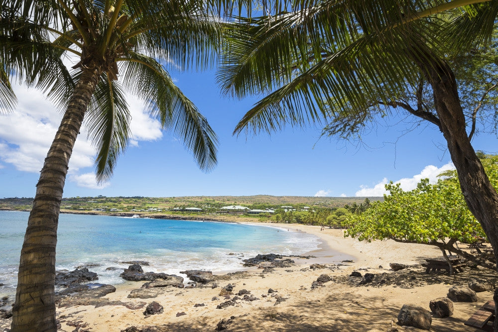 Four Seasons Resort at Hulopo'e Beach Park Fine Art Print by Dave Fleetham