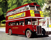 London Transport RT792 AEC RT-Type Bus Poster Print c1950