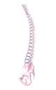 Conceptual Image of Human Backbone Fine Art Print
