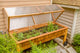 Issaquah Wood Greenhouse Poster Print by Janet Horton - 24x18
