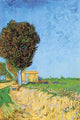 A Lane Near Arles Fine Art Print by Vincent Van Gogh