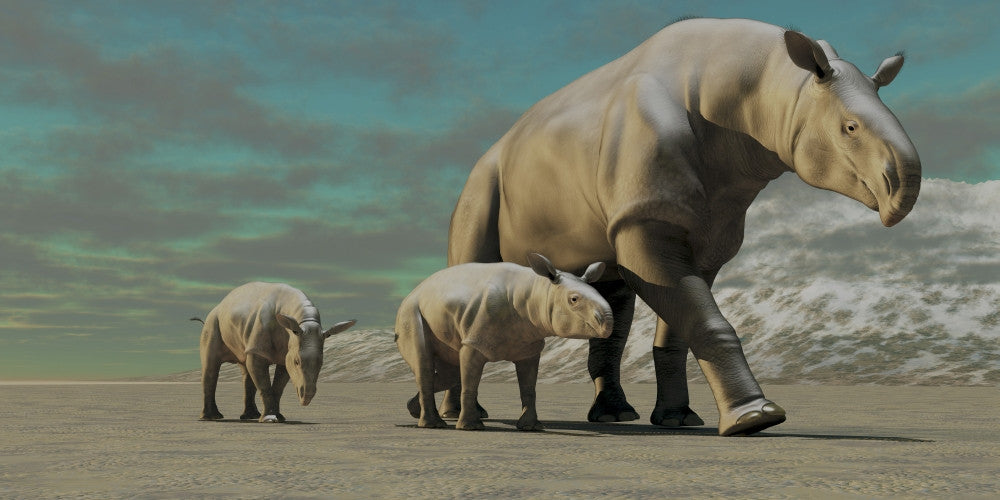 Paraceratherium Mother with Twin Calves Fine Art Print