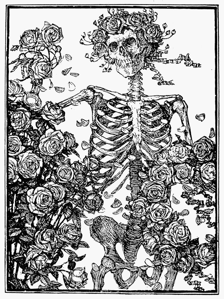 Omar Khayyam: Rubaiyat Fine Art Print by Edmund J. Sullivan