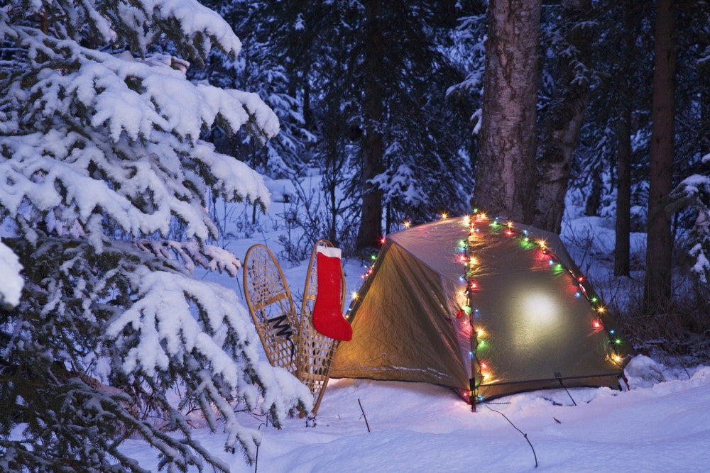 A Tent in the Woods with Christmas Lights Fine Art Print by John Delapp