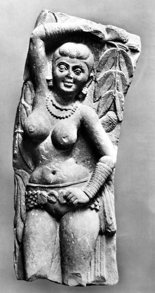 India: Jain Sculpture Fine Art Print - Yakshini Tree Spirit