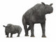 Paraceratherium vs. White Rhinoceros Fine Art Print