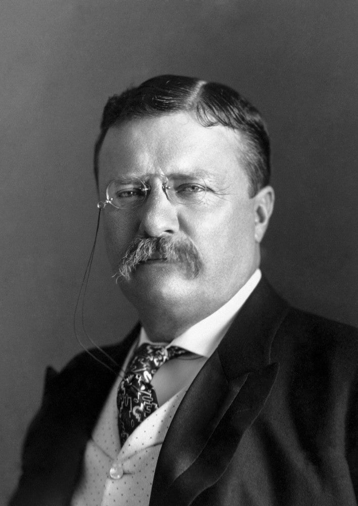 Portrait of President Theodore Roosevelt (1904) Fine Art Print