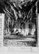 Key West Hemingway House Fine Art Print - Florida Poster