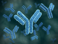 Microscopic View of Immunoglobulin G Antibodies Fine Art Print