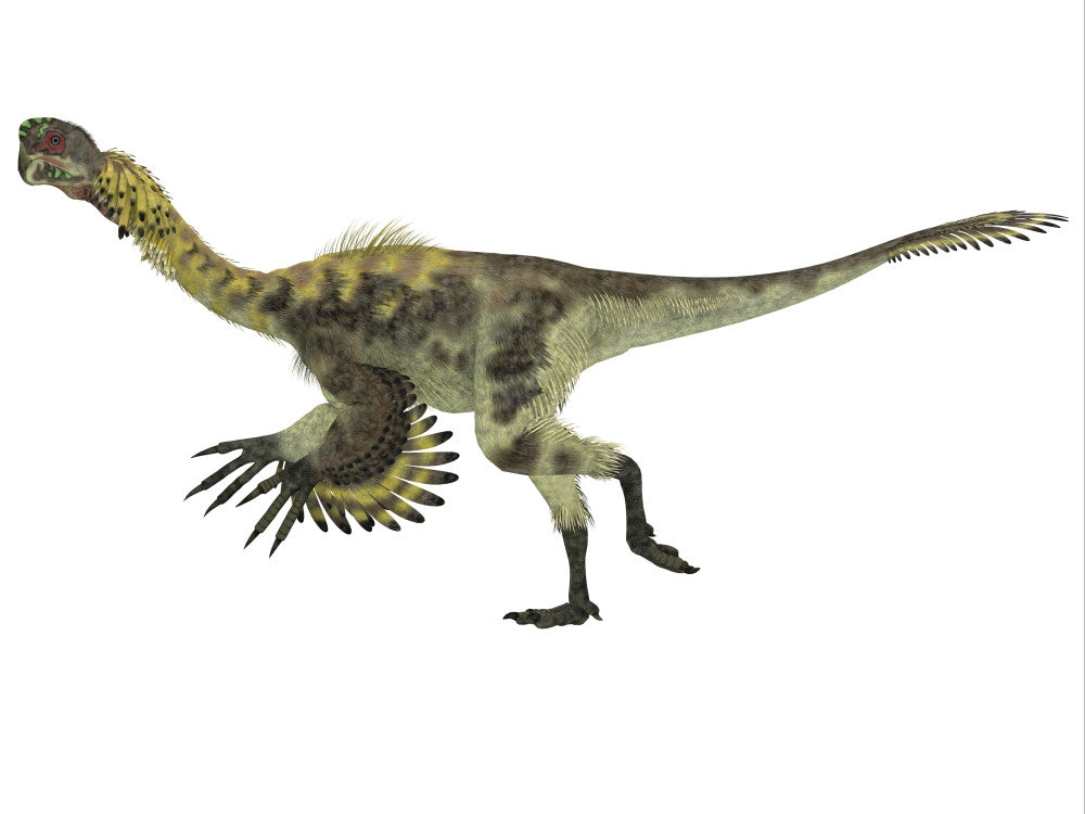 Citipati Dinosaur Fine Art Print - Cretaceous Period Poster