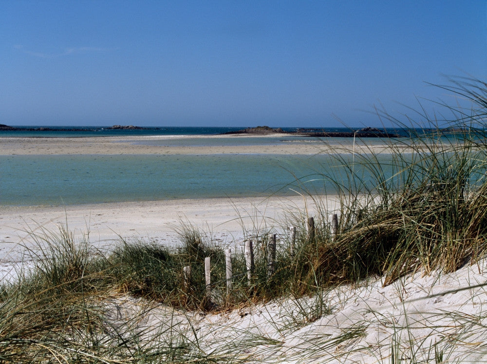 Sand Dunes on Beach, Abers Coast, Brittany Fine Art Print by Panoramic Images