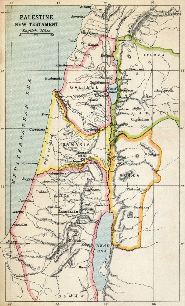 Map of Palestine in the New Testament - Fine Art Print by Ken Welsh