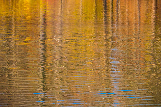 Colorful Abstract Reflection in Lake Water Fine Art Print by Anna Miller