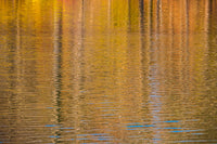 Colorful Abstract Reflection in Lake Water Fine Art Print by Anna Miller