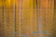 Colorful Abstract Reflection in Lake Water Fine Art Print by Anna Miller