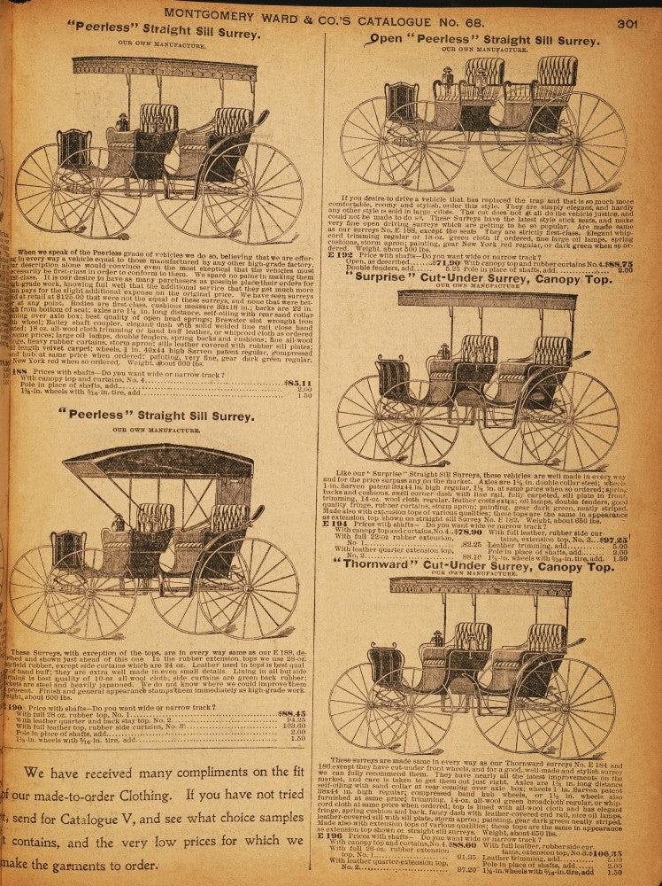 Montgomery Ward Catalog Page Fine Art Print, C1900
