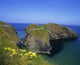 Carrick-A-Rede Rope Bridge Fine Art Print by The Irish Image Collection