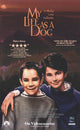 My Life as a Dog Movie Poster (11 x 17) - Item #MOVCF8001