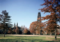 Yale University Campus Poster Print - New Haven, Connecticut