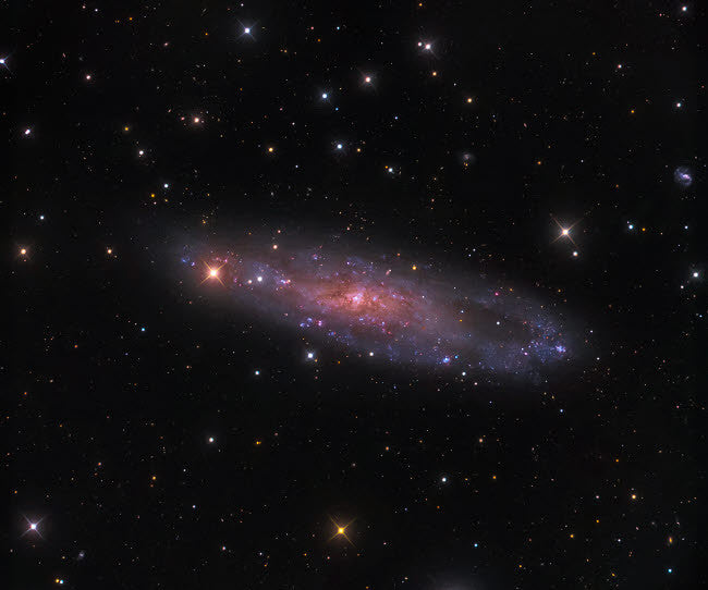 NGC 247 Galaxy in Cetus Fine Art Print by Michael Miller