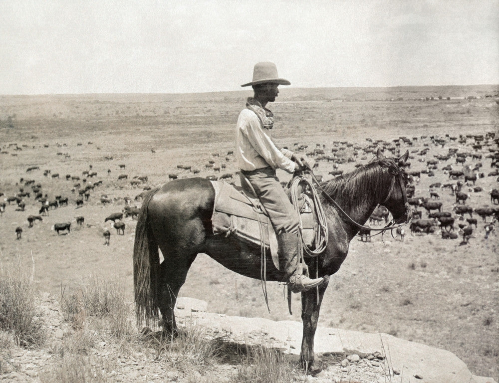 Texas Cowboy Photograph Print by Erwin Evans Smith, C1908