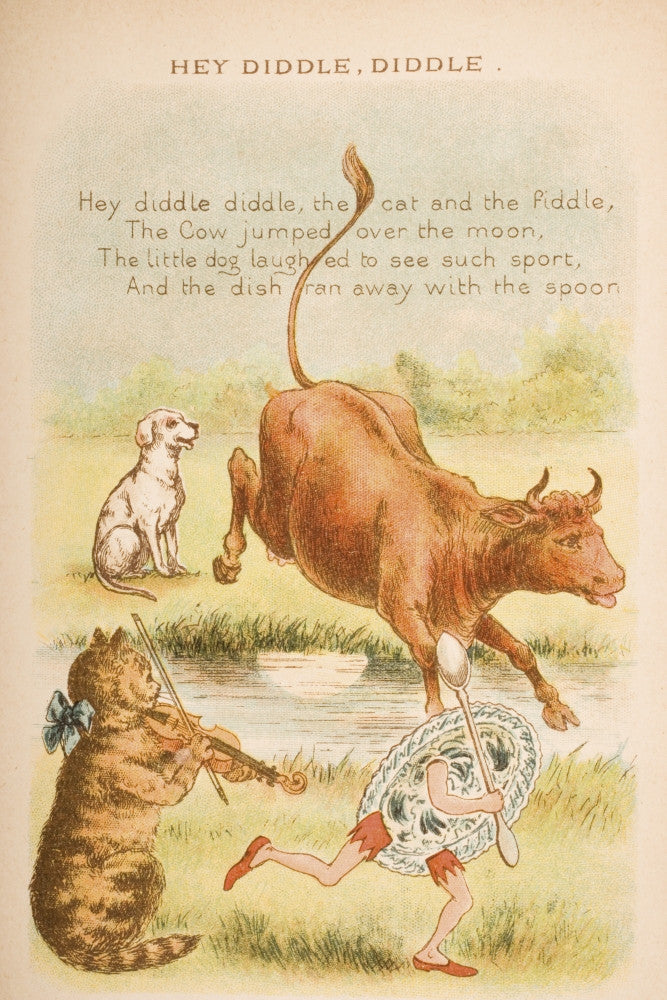 Hey Diddle Diddle Fine Art Print by Constance Haslewood