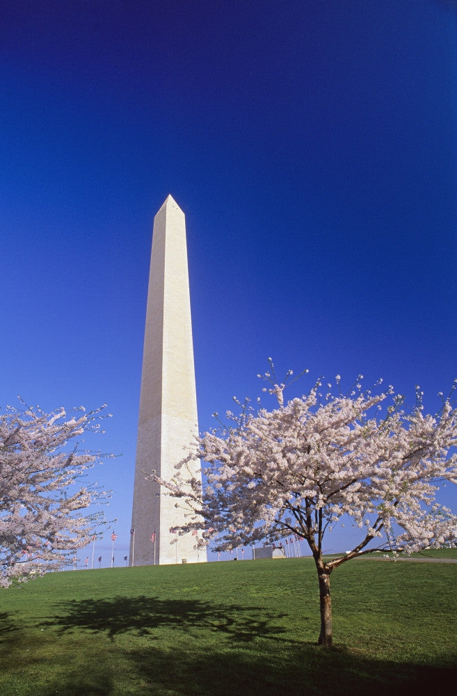 Washington Monument Fine Art Print - Available in Multiple Sizes