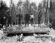Michigan Lumberjacks Vintage Photograph Print by Granger Collection