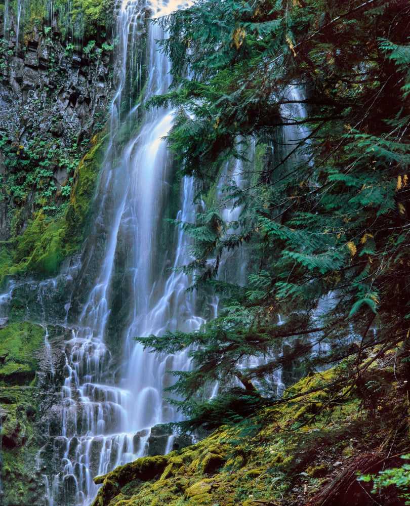 Lower Proxy Falls Scenic View Fine Art Print by Panoramic Images