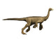 Struthiomimus Dinosaur Fine Art Print | Posterazzi
