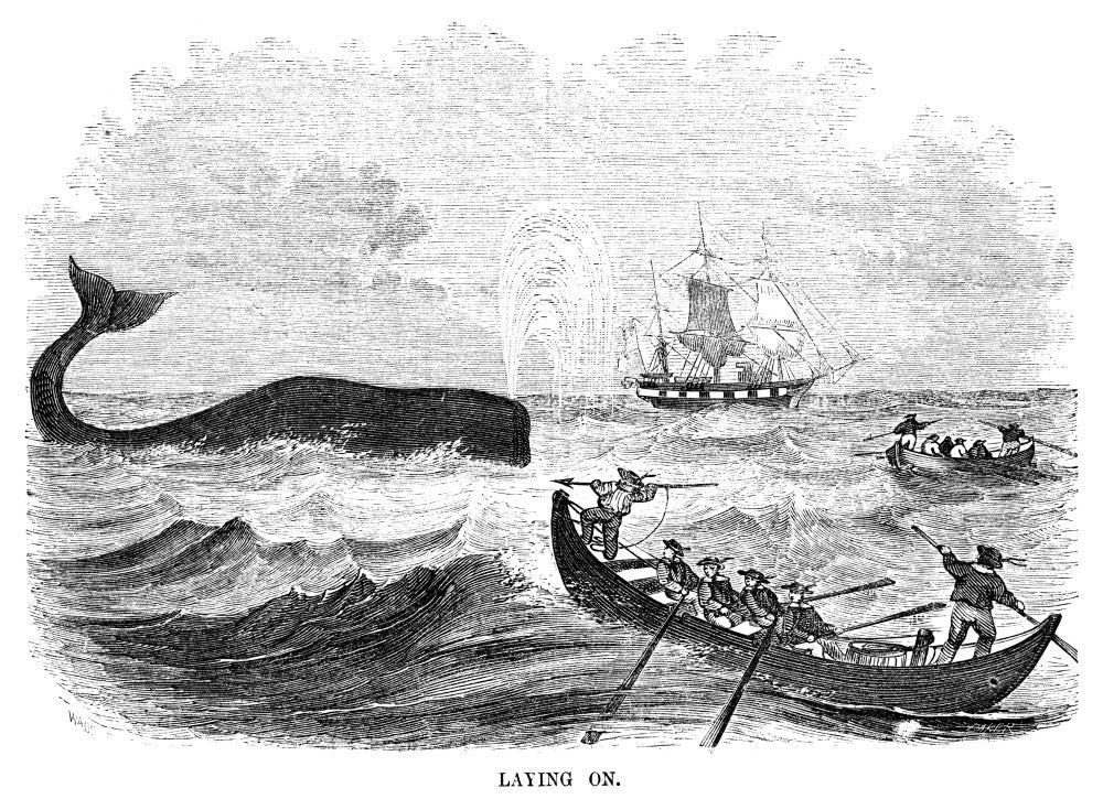 Whaling Scene Fine Art Print - American Wood Engraving, 1855