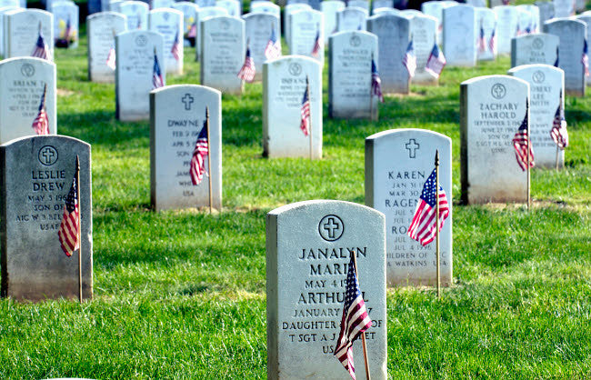 American Flags at Arlington National Cemetery Fine Art Print by Stocktrek Images